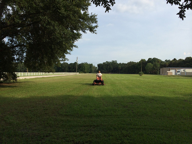 Mowing the south 40