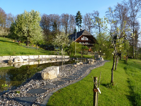 Our farmhouse (built 1784) in the background