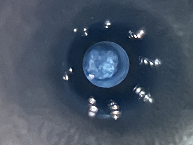 Rivet