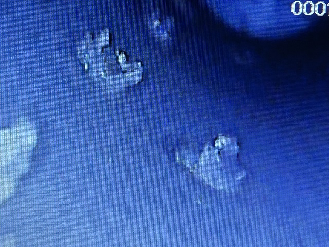 pins