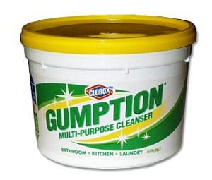 Gumption