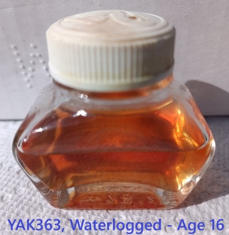 YAK363, Waterlogged - Age 16