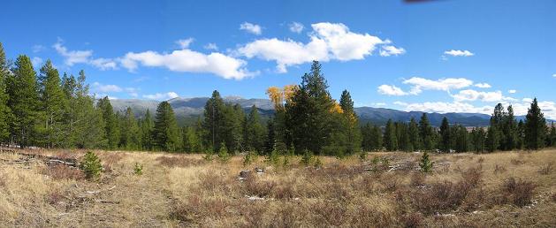 View from front porch of hunting lodge - early Fall